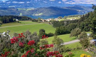A beautiful landscape with green meadows and mountains in the background. Colorful flowers in the foreground complement the picturesque view.