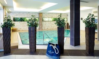 An elegant wellness area with an indoor pool and plants in decorative pots. Large windows provide lots of light and a relaxing atmosphere.