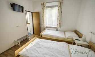 A simple bedroom with two single beds and a television on the wall. It has bright light from a large window and a friendly atmosphere.