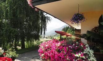 Blumen überall