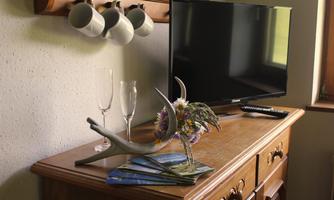 A cozy room with a TV on a wooden dresser. On the dresser are glasses, a decorative vase of flowers, and some brochures.