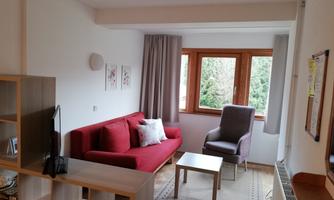 A modern living room with a red sofa and a gray armchair. Large windows let in plenty of daylight and offer a view of the greenery.