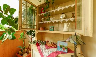 A cozy exterior with an open cabinet displaying dishes and decor. Plants and a lamp complement the inviting atmosphere.
