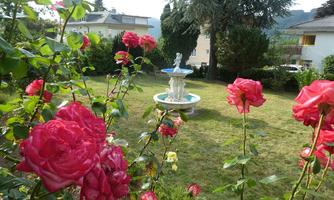 A beautiful garden with pink roses and a fountain in the middle. The landscape feels calm and inviting.