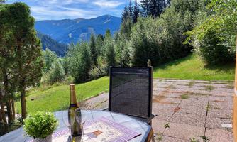 A beautiful table outdoors with a view of the mountains. Next to a champagne and a glass, there is a green plant on the table.