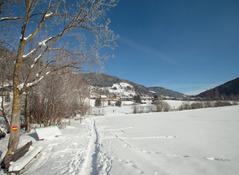 Winterwald Winterwald