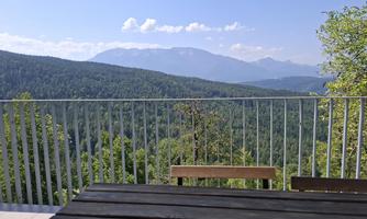 A beautiful view of a green forest landscape and mountains in the background. The sky is clear and blue.