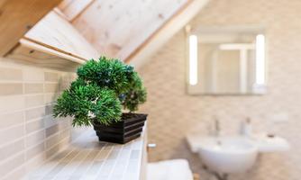 A modern bathroom view with a small green potted plant on a windowsill. In the background, a sink and a lit mirror can be seen.