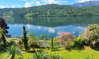 A tranquil landscape with a smooth lake and green hills in the background. Colorful flowers and plants grow along the shore.