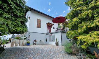 A modern house with a beautiful driveway and a terrace. Surrounded by green plants and a blue sky.