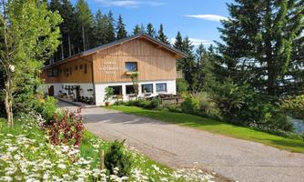 A rustic house surrounded by trees and meadow. The path gently leads to the building, which emanates an inviting atmosphere.