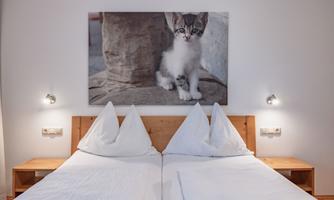 A cozy bedroom with a double bed and two pillows. On the wall hangs a picture of a cute kitten.