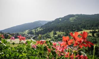 A beautiful view of a green landscape with mountains in the background. Colorful flowers are growing in the foreground.