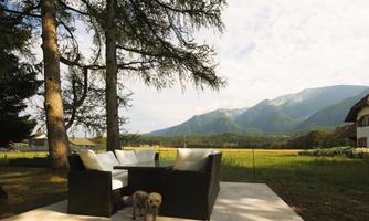 A cozy outdoor seating area with a dog, surrounded by trees and a beautiful mountain panorama. The landscape shows a peaceful and natural setting.