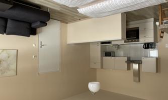 A modern apartment with an open kitchen and a cozy living room. The space is bright and cheerfully decorated.
