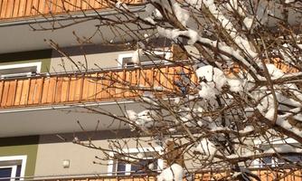 A building with wooden cladding and balconies, surrounded by a snow-covered tree. The scene conveys a wintry atmosphere.
