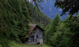 An old, abandoned cabin in the greenery, surrounded by tall trees and mountains. The landscape appears calm and idyllic.