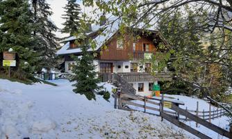 A cozy wooden house in the snow, surrounded by fir trees. The landscape looks wintry and inviting.