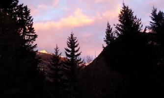 A picturesque forest with tall firs and a fascinating sunset. The clouds glow in gentle colors above the mountains.