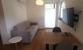 A modern and bright living room with a gray sofa, a table, and a television. The large windows provide plenty of daylight.