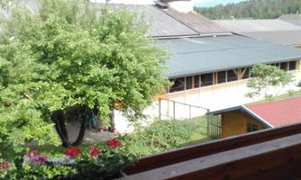 A view from a balcony overlooking green trees and a building. In the foreground, plants are blooming in a flower box.