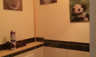 A small bathroom with wall paintings of animals. Visible are a monkey, a wolf, and a panda.