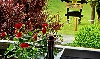 A bottle of champagne is on a table next to a vase of roses. In the background, green meadows and trees can be seen.