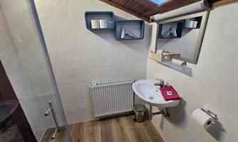 A modern bathroom with a vanity, a mirror, and a shower.  
Practical shelves are on the wall and the floor is made of wood.