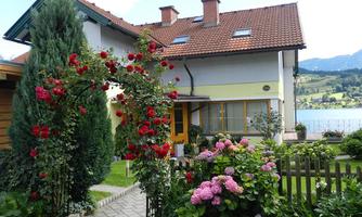 A beautiful house with a blooming garden.  
Colorful flowers and shrubs surround the entrance, creating an inviting atmosphere.