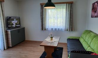 A cozy living space with a green sofa, a wooden table, and a television. The room has large windows with green curtains and is well-lit.
