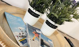 Two flower pots with artificial plants are placed on a tray. Next to them lie various brochures and flyers.