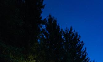 A cozy cabin stands in the dark, surrounded by tall trees. The clear night sky is dotted with many stars.