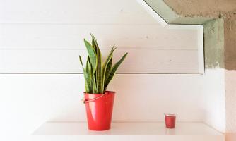 A bright room with a staircase wall and a white table. On the table is a red flower pot with a plant and a small red glass.