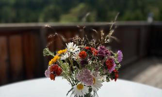 A colorful flower arrangement in a glass vase is on a table. In the background, green mountains and a cloudy sky can be seen.