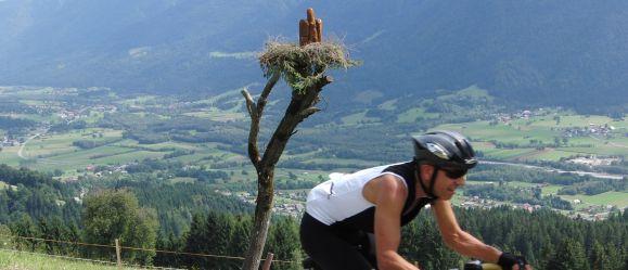 Mountainbikestrecke auf den Zollner