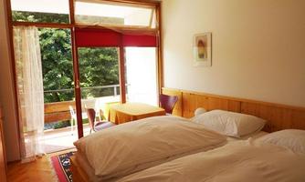 A bright room with a double bed and a large window. In front of the window, there is a balcony with a view of the greenery.