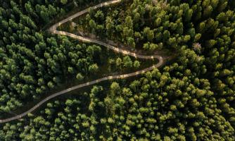 A winding road leads through a dense forest. In the middle, there is a small building surrounded by trees.