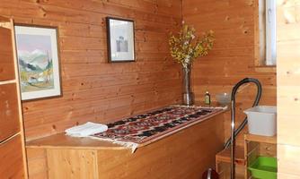 A cozy room with wooden walls and a carpet. In the corner, there is a vacuum cleaner and a plant on the table.