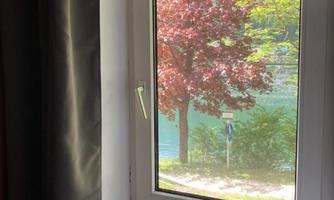 A window with a view of a beautiful tree with red leaves and a tranquil water landscape. The sun is shining, and it is a peaceful scene.