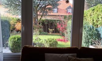 View of the garden