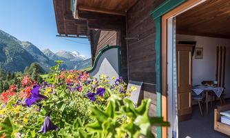 A balcony with colorful flowers and a view of the mountains. The landscape is sunny and inviting.