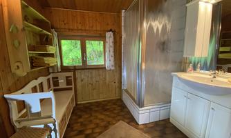 A cozy bathroom with wooden paneling and large windows. There is a shower, a sink, and a small seating area.
