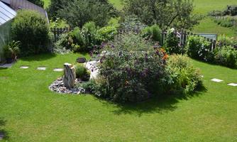 A beautiful garden with green grass and flowering plants. In the center stands a large bush and a wooden log as decoration.