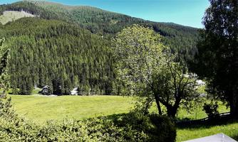 A green landscape with dense forests and gentle hills. The sky is clear and nature appears peaceful.