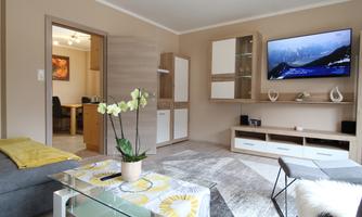 A modern living room with a gray sofa and a glass table. A television is mounted on the wall, and a small potted plant adds a fresh accent.