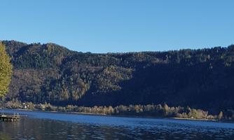 A calm river with a clear water surface and gentle hills in the background. Trees line the shore and the sky is radiant blue.