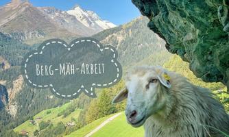 A sheep stands in a picturesque mountain landscape with green meadows and tall peaks. The image features the text "MOUNTAIN-SHEEP-WORK".
