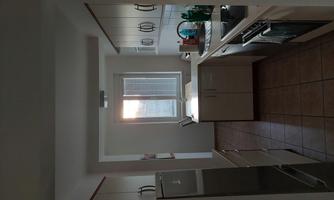 A modern kitchen with bright cabinets and a window that lets in plenty of natural light. Various kitchen utensils and plants are on the countertop.
