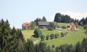 A picturesque landscape with several farms on a hill.  
Surrounded by green forests and a clear sky.