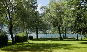 A beautiful green lawn with trees and a view of a tranquil lake. The sun is shining and the sky is clear.